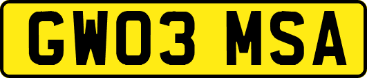 GW03MSA