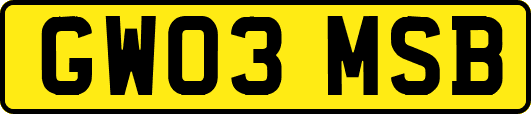 GW03MSB