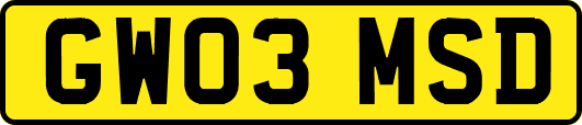GW03MSD