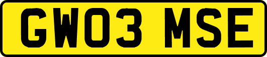 GW03MSE