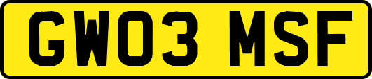 GW03MSF