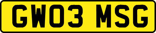 GW03MSG