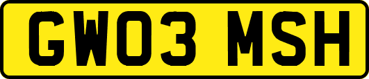GW03MSH
