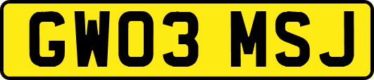 GW03MSJ