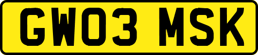 GW03MSK