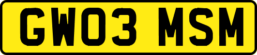 GW03MSM