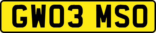 GW03MSO