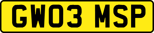 GW03MSP