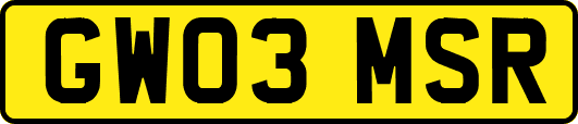 GW03MSR