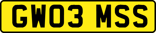 GW03MSS
