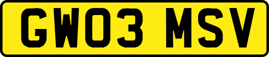 GW03MSV
