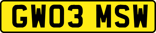 GW03MSW