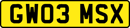 GW03MSX