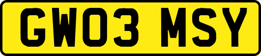 GW03MSY