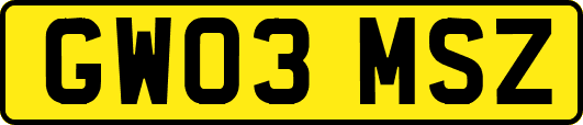 GW03MSZ