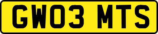 GW03MTS
