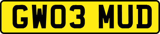GW03MUD