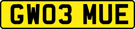 GW03MUE