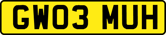 GW03MUH