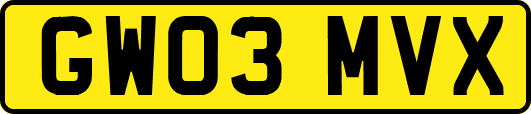 GW03MVX