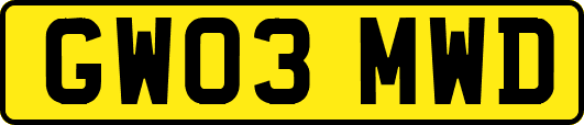 GW03MWD