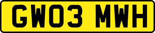 GW03MWH