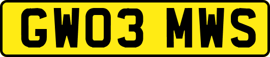 GW03MWS