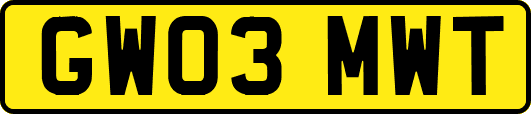 GW03MWT