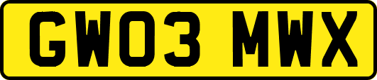 GW03MWX
