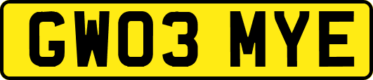 GW03MYE