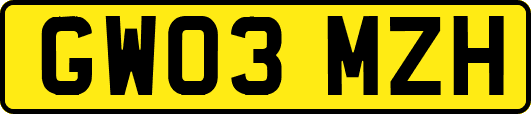 GW03MZH