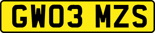 GW03MZS