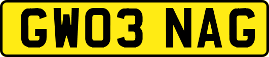 GW03NAG