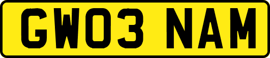 GW03NAM