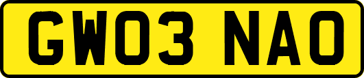 GW03NAO