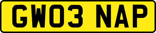 GW03NAP