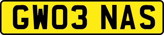 GW03NAS