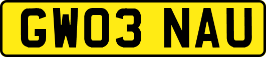 GW03NAU