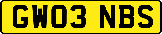 GW03NBS