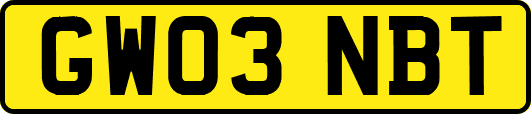 GW03NBT