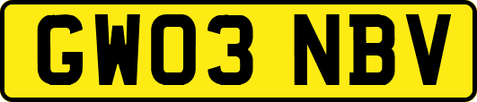 GW03NBV