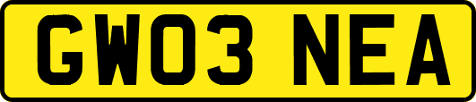 GW03NEA