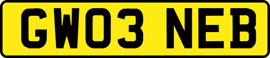 GW03NEB