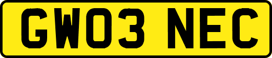 GW03NEC