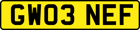 GW03NEF