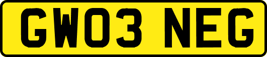 GW03NEG