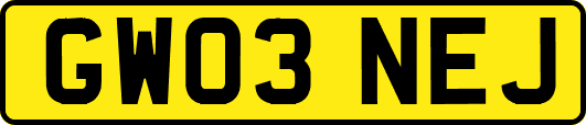 GW03NEJ