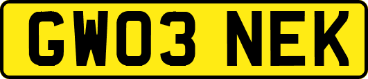 GW03NEK