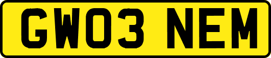 GW03NEM