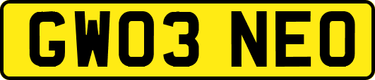 GW03NEO